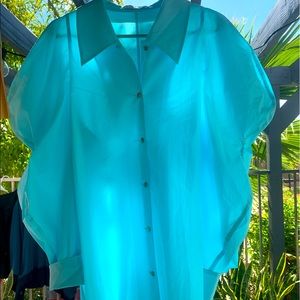 Rejina Pyo blue puffy sleeve butting down women’s shirt
